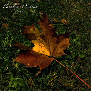 亚洲色欲色欲社www色屁屁
